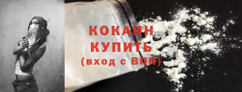 Кокаин FishScale  купить наркотик  Каргополь 